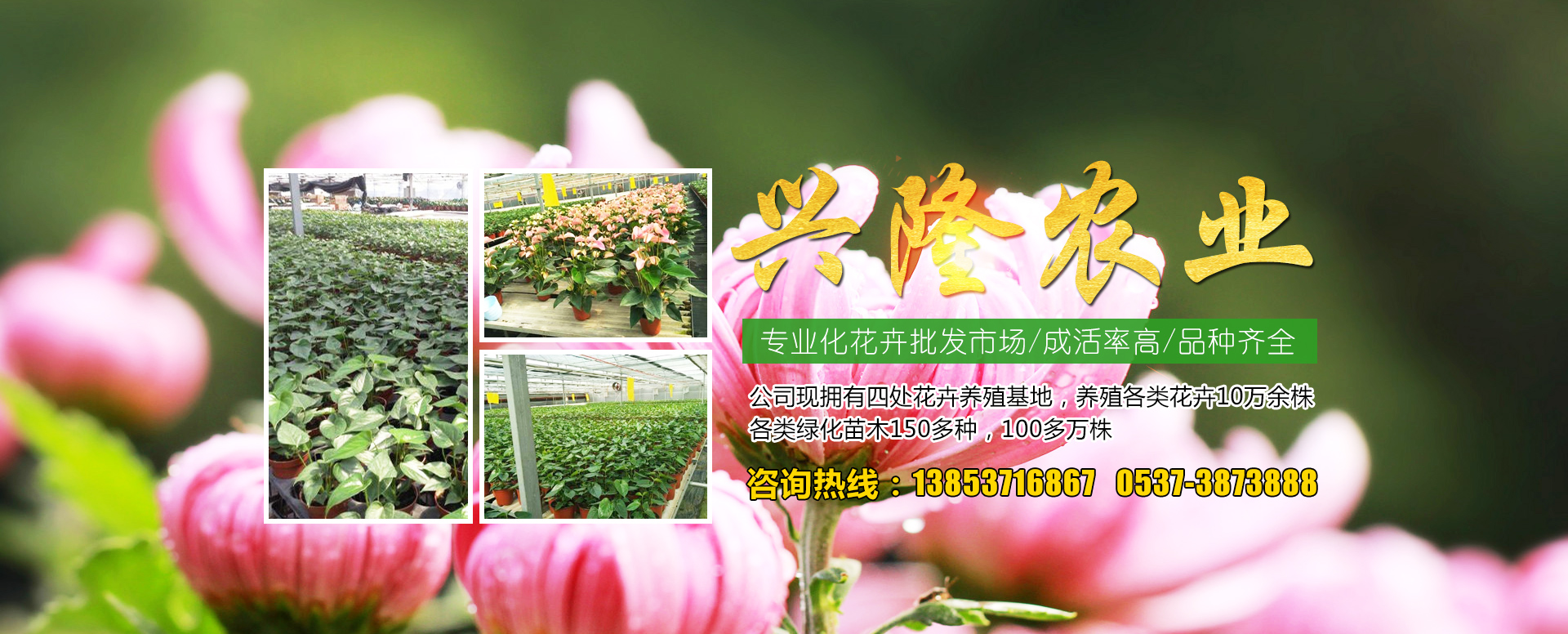 气旋筛网筒自传系统工作效率高